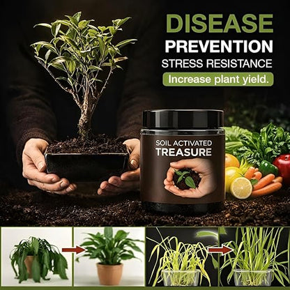 Soil Activated Treasure Plant Growth Booster(Pack of 2)🌱