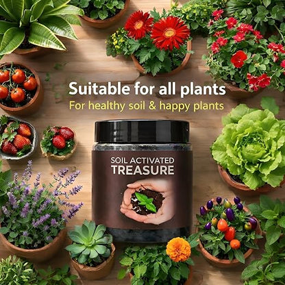 Soil Activated Treasure Plant Growth Booster(Pack of 2)🌱